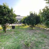 فروش زمین مسکونی 190 متر در زرداب