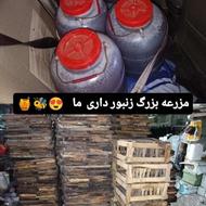 عسل به شرط آزمایشگاه بهاره