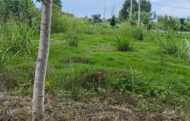 فروش زمین مسکونی 180 متر در التپه