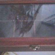 یک عدد تیبک ،ویک عدد گل و گلدان سفید