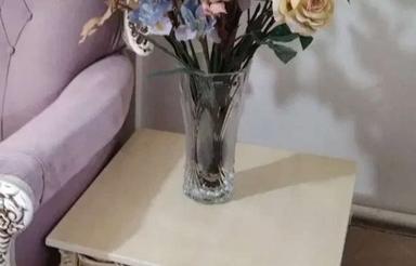 راهنمایی همخونه لطفا