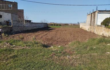 فروش 1000 متر زمین تجاری