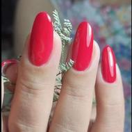 تخفیف زمستانه لاین رنگ مو ،پاکسازی و فشیال ،کاشت ناخن