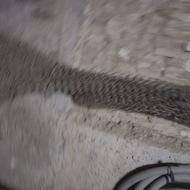 تورسالم بدون پارگی