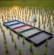 تولید سینی نشا برنج