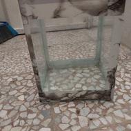 اکواریم ماهی