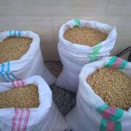 تخم نارنج بذر نارنج