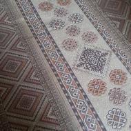 3تاکناره درحدنو