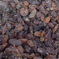 گله افتابی درجه یک