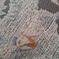 5 تا سنگ با قیمت سفید و سیاه به فروش