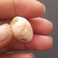 سنگ عقیق شیری