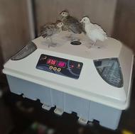 فروش چکی انواع دستگاه جوجه کشی دماوند ( دی کیو شاپ )