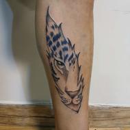 تتو بدن tattoo