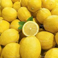 فروش میوه لیمو ترش