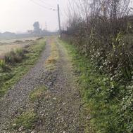 1500 متر زمین در سنگر روستای جوبنه