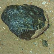 شهاب‌سنگ و سنگهای قیمتی