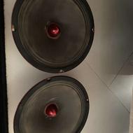 میدرنج سایز 8سالم