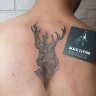 تاتو بدن با 11 سال سابقه