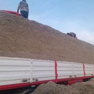 کاه نیشکر ملاس نیشکر با قیمت مناسب