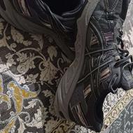 کتانی خارجی در حد