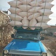 خرید و فروش کاه