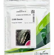 بذر هندوانه بی 32 سمینیس