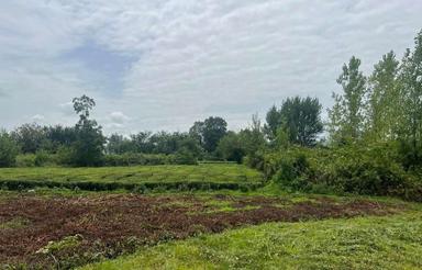 530متر زمین مسکونی بامجوز 250متر ساخت