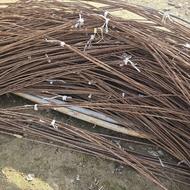 میلگرد 8 تیمجاری