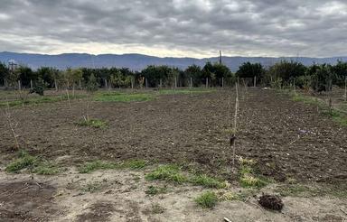 700 متر زمین در جاده امام ده(شاهکیله)