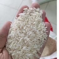 برنج شیرودی کاملا ارگانیک