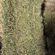 پرس یونجه عالی