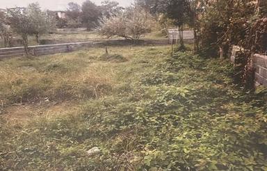 فروش زمین مسکونی 280 متر در تجن کلا - زوات