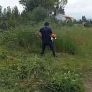 کلیه خدمات باغی از باغ ویلا باغچه علفتراشی سم پاشی روتوری