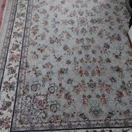 فروش فرش اکبند نو 6متری