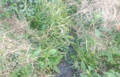 فروش ویلا باغ کرسی بلند