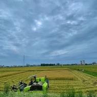 فروش زمین کشاورزی 9200 متر در ایزدشهر/امیرآباد