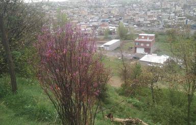 زمین باغی بالای پارک هوازو