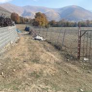 500متر زمین دو بر بافت کشاورزی