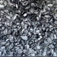 کربن پوست پسته