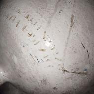 مخزن سی ان جی