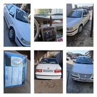 سمند سالم بشرت بی رنگ تمیز