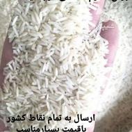 برنج طارم هاشمی درجه یک فریدونکنار