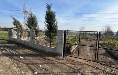 فروش زمین کشاورزی 2000 متر در چمان