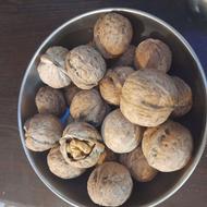 گردوپرچرب تویسرکان