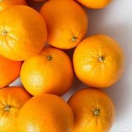 فروش پرتقال آبدار چیده