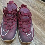 کفش بسکتبال