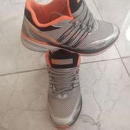 کفش اورجینال