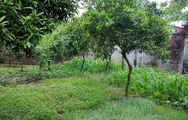 300 متر باغ مسکونی