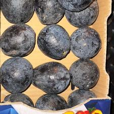 آووکادو درجه 1