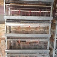 قفسه بلدرچین